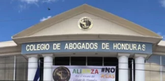Ordenan privación de bienes y cuentas bancarias en caso Colegio de Abogados