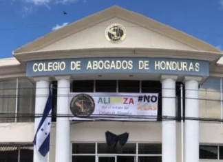 Ordenan privación de bienes y cuentas bancarias en caso Colegio de Abogados