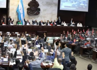 Ley orgánica del CN faculta a Redondo de convocar a sesiones extraordinarias, dice diputada