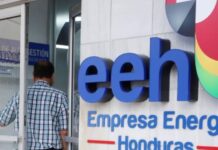 Diputada denuncia que el gobierno está negociando con la EEH para continuar con el contrato