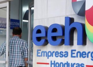 Diputada denuncia que el gobierno está negociando con la EEH para continuar con el contrato