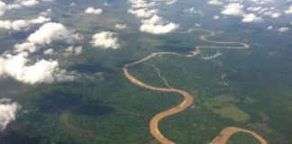 Más de 250 mil hectáreas de bosque han sido destruidas en La Mosquitia por narcotraficantes