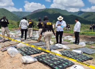 Incineran 1,947 kilos de cocaína y 324 paquetes de hachís en la capital