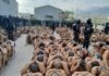 Al estilo de El Salvador, miembros de maras y pandillas permanecen semidesnudos en los predios de los centros penales del país