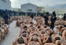 Al estilo de El Salvador, miembros de maras y pandillas permanecen semidesnudos en los predios de los centros penales del país