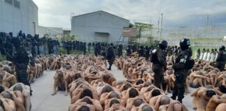Al estilo de El Salvador, miembros de maras y pandillas permanecen semidesnudos en los predios de los centros penales del país