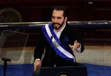 El presidente Bukele anuncia una «guerra frontal» contra la corrupción en El Salvador
