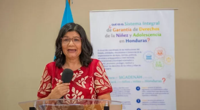 Nueva directora del Dinaf denuncia contratación de personal sin renglón presupuestario en anterior gestión