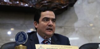Diputado Mario Pérez pide al partido Libre que deje de hacer campaña política con el Código Penal