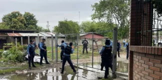 La Policía Nacional derriba más de una docena de portones instalados por grupos antisociales en colonias de SPS