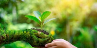 Honduras conmemora el Día Mundial del Medioambiente con llamados a proteger el planeta