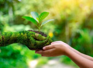 Honduras conmemora el Día Mundial del Medioambiente con llamados a proteger el planeta