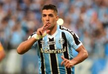 Luis Suárez puede necesitar una prótesis en la rodilla, admite presidente de Gremio