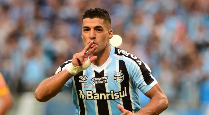 Luis Suárez puede necesitar una prótesis en la rodilla, admite presidente de Gremio