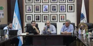 Anuncian la creación de una Comisión Técnica Interinstitucional para enfrentar crisis de déficit de energía