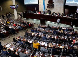 El Congreso Nacional puede funcionar con 80 diputados, admite el diputado Ramón Barrios
