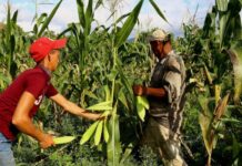 Hay que preparase para un escenario difícil de una canícula extendida, pide la FENAGH