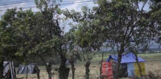 La ONU denuncia ataques contra activistas y conflictos por tierras en Guatemala y Honduras