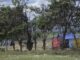 La ONU denuncia ataques contra activistas y conflictos por tierras en Guatemala y Honduras