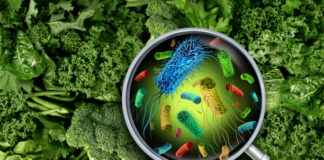 La ONU estima que 1.6 millones de personas enferman al día por comida contaminada