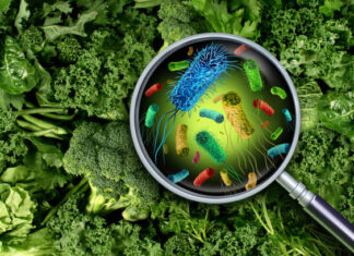 La ONU estima que 1.6 millones de personas enferman al día por comida contaminada