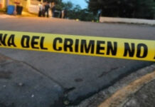 Domingo violento cobra la vida de unas 15 personas en el territorio nacional