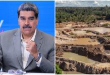 Nicolás Maduro ordena a los militares «limpiar» toda la Amazonía venezolana de la minería ilegal