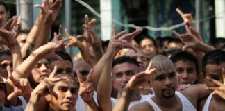 Diputados del PN señalan que desde el 2017 las maras y pandillas están tipificadas como terroristas