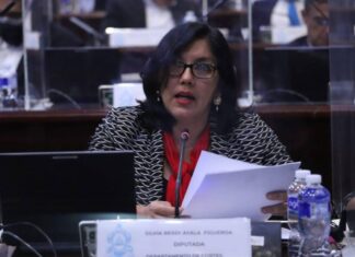 Diputada Silvia Ayala asegura que el código Penal será derogado o anulado por el CN