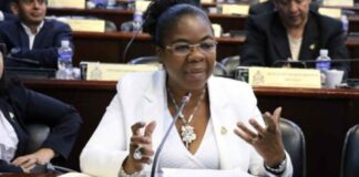 Johana Bermúdez reprocha nueva extensión del estado de excepción y pide que se deje de implementar parches ineficaces