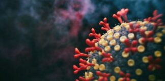 La Secretaría de Salud confirma que dos linajes de Ómicron circulan en el país y aumentan la positividad de COVI-19