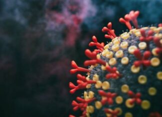 La Secretaría de Salud confirma que dos linajes de Ómicron circulan en el país y aumentan la positividad de COVI-19