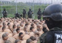 Policía Militar traslada a más de 1,600 miembros de estructuras criminales a los centros penitenciarios «El Pozo» y «La Tolva»