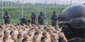 Policía Militar traslada a más de 1,600 miembros de estructuras criminales a los centros penitenciarios «El Pozo» y «La Tolva»