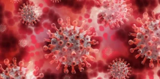 Doctora Reina Durón advierte que en julio se ha triplicado la positividad de COVID-19