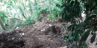 Inician exhumación en cementerio clandestino en Tegucigalpa