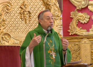 Insensatos llegan a decir que hay que polarizar la sociedad, eso es cizaña, es dividir a nuestro pueblo: cardenal Rodríguez
