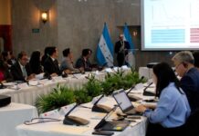 Economista pide al Gobierno tener mucha capacidad en negociación del Tratado de Libre Comercio con China