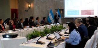 Economista pide al Gobierno tener mucha capacidad en negociación del Tratado de Libre Comercio con China