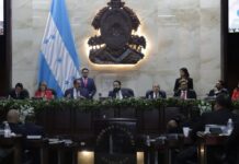 Prevén que el CN busca romper el orden constitucional para imponer la Constituyente