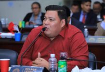 Según el diputado Nelson Leiva, el Partido Nacional quiere asaltar el Congreso Nacional y dividir la bancada de Libre