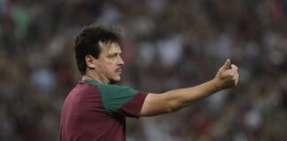 Brasil anuncia que Fernando Diniz asumirá como seleccionador interino