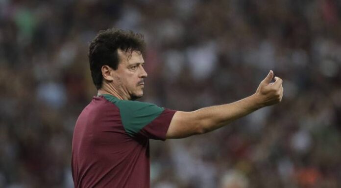 Brasil anuncia que Fernando Diniz asumirá como seleccionador interino