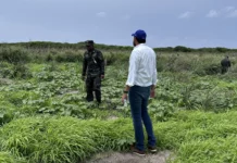 Biólogos mantienen su oposición a la construcción de una cárcel en las Islas del Cisne