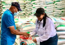 Bono Cafetalero beneficia a más de 102 mil pequeños productores del país