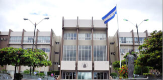 Unos 11 mil antecedentes penales se han entregado en lo que va del 2023