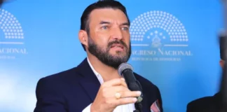 Rasel Tomé señala que Libre prioriza temas energéticos, de seguridad social y alimentaria y CAF al retomar funciones esta semana en el CN