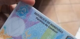 No hay fecha de emisión para nuevas licencias de conducir