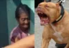 Octogenaria muere por ataque de perro pitbull en Santa Bárbara