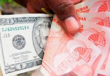 Mientras Honduras se sumerge en el desempleo inversión extranjera se “ahuyenta” del país